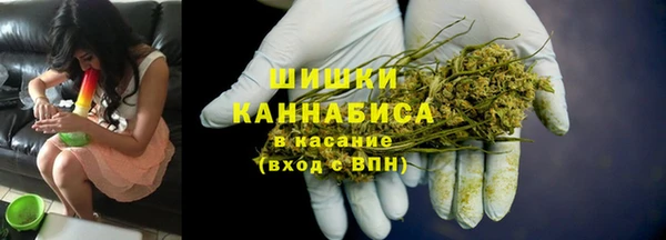 ECSTASY Богородицк