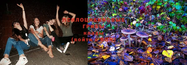 ECSTASY Богородицк